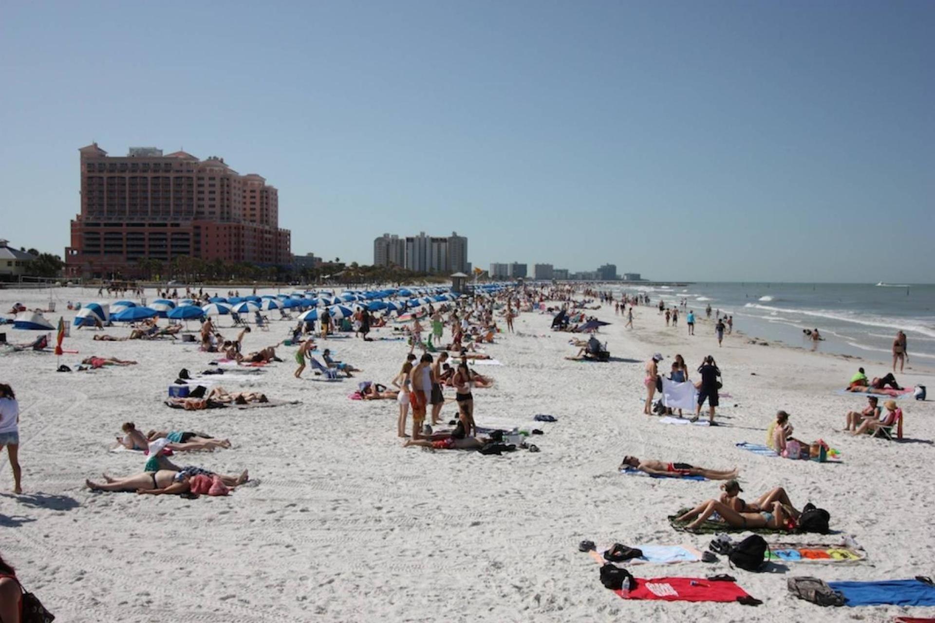 201 Belleair Beach Club Clearwater Beach Exteriör bild